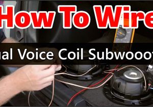 Subwoofer Wiring Diagram Dual 2 Ohm Quad Voice Coil Wiring Diagram Wiring Diagram Center