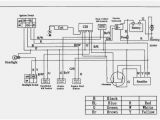 Sunl 110cc atv Wiring Diagram Sunl 110cc atv Wiring Diagram Fresh Sunl 49cc E22 5 Pin Cdi Wiring