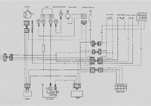 Sunl Go Kart Wiring Diagram 150cc atv Wiring Diagram Circuit Wiring Diagram Expert