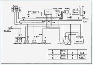 Sunl Go Kart Wiring Diagram Sunl 50cc Wire Diagram Wiring Diagram Technic