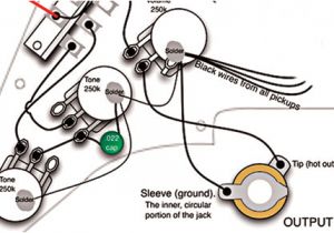 Super Strat Wiring Diagram Gibson Guitar Wiring Diagram Mod Schema Diagram Database Super Strat Wiring Diagram Gibson Guitar Wiring Diagram Mod Schema Diagram Database