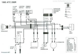 Suzuki Quadrunner 250 Wiring Diagram 1985 Suzuki Quadrunner 250 Wiring Diagram 1994 1992 Parts Diagrams
