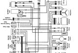 Suzuki Quadrunner 250 Wiring Diagram Suzuki Lt250ef Wiring Diagram Wiring Diagram
