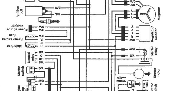 Suzuki Quadrunner 250 Wiring Diagram Suzuki Lt250ef Wiring Diagram Wiring Diagram