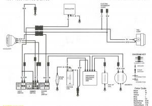 Suzuki Raider J 110 Wiring Diagram Suzuki 2 Stroke Wiring Diagram Single Wiring Diagram