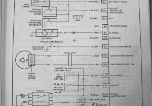Suzuki Swift Wiring Diagram Suzuki Swift 1998 Alternator Wiring Wiring Diagram Technic