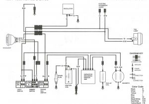 Suzuki Ts 125 Wiring Diagram Basic Wiring Suzuki Wiring Diagram