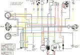 Suzuki Ts 50 Wiring Diagram Suzuki Ts50x Wiring Diagram Wiring Diagram