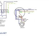Switch and Light Wiring Diagram Labelled Diagram Of Rat New 2 Lights 2 Switches Diagram Unique