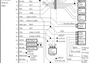 Switch Wiring Diagrams Headlight Switch Wiring Diagram Inspirational 5 Way Switch Wiring Switch Wiring Diagrams Headlight Switch Wiring Diagram Inspirational 5 Way Switch Wiring