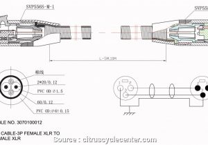 Switched Electrical Outlet Wiring Diagram Wiring A Light Switch and Outlet together Diagram then Electrical