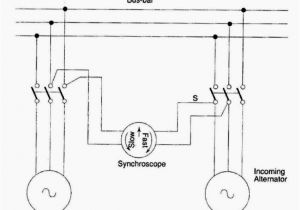 Synchroscope Wiring Diagram 1 Laboratory Manual Electrical Machine Ii Laboratory Synchroscope Wiring Diagram 1 Laboratory Manual Electrical Machine Ii Laboratory