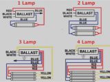 T12 Ballast Wiring Diagram 2 Bulb T8 Wiring Diagram Wiring Diagram Name T12 Ballast Wiring Diagram 2 Bulb T8 Wiring Diagram Wiring Diagram Name