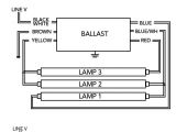 T12 Ballast Wiring Diagram 2 Lamp T12 Ballast Wiring Diagram Wiring Diagram Centre