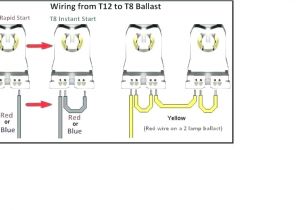 T12 to T8 Ballast Wiring Diagram T12 Wiring Diagrams Wiring Schematic Diagram 68 Wiringgdiagram Co T12 to T8 Ballast Wiring Diagram T12 Wiring Diagrams Wiring Schematic Diagram 68 Wiringgdiagram Co