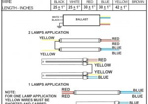T12 to T8 Ballast Wiring Diagram T8 2 L Wiring Diagram Free Download Wiring Diagram Article T12 to T8 Ballast Wiring Diagram T8 2 L Wiring Diagram Free Download Wiring Diagram Article