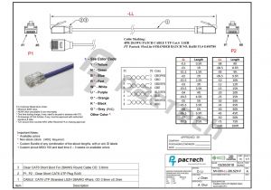 T568b Wiring Diagram Patch Panel Cat 5 Network Wiring Diagram Wiring Diagram Database