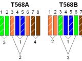 T568b Wiring Diagram Patch Panel On Straight Through Ethernet Pin Out for T568b Crossover Cable
