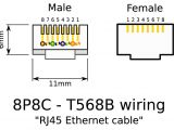 T568b Wiring Diagram Patch Panel Rj45 B Wiring Diagram Wiring Diagram Database