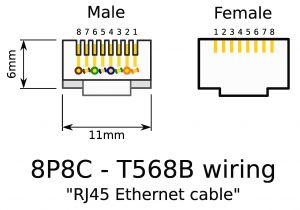 T568b Wiring Diagram Patch Panel Rj45 B Wiring Diagram Wiring Diagram Database