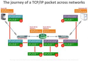 T568b Wiring Diagram Patch Panel T568b Pinout Diagram Wiring Diagram Center