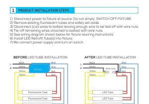 T8 Ballast Wiring Diagram T12 T8 Ballast Wiring Diagram Wiring Diagrams Data