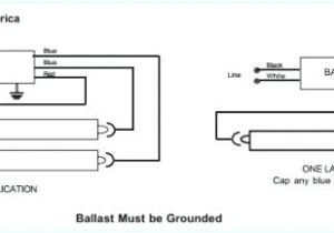 T8 Ballast Wiring Diagram T8 Ballast Wiring Diagram 277 Volt Wiring Diagram Center