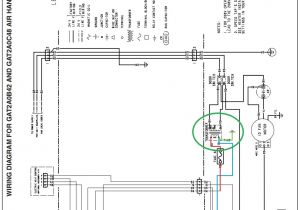 Tanning Bed Wiring Diagram Trane Wiring Schematics Wiring Diagram Datasource
