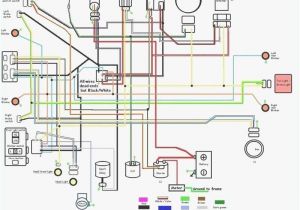 Tao Tao 150 Scooter Wiring Diagram Fancy Scooter 49cc Wiring Diagram Wiring Diagram Centre Tao Tao 150 Scooter Wiring Diagram Fancy Scooter 49cc Wiring Diagram Wiring Diagram Centre