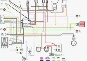 Tao Tao 150 Scooter Wiring Diagram Fancy Scooter 49cc Wiring Diagram Wiring Diagram Centre