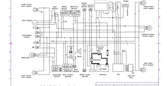 Tao Tao 150 Scooter Wiring Diagram Tao Tao Scooter Wiring Diagram Wiring Diagram
