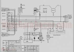 Taotao 110cc atv Wiring Diagram 125cc Tao Wiring Diagram Electrical Wiring Diagram