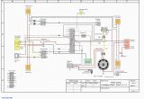 Taotao 110cc atv Wiring Diagram Coolster 125cc atv Wiring Wiring Diagram Datasource