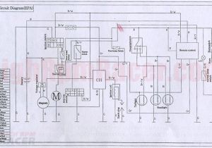 Taotao 110cc atv Wiring Diagram Roketa Go Kart Wiring Diagram Manual E Book