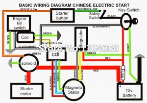 Taotao 110cc atv Wiring Diagram Wiring Diagram for 125cc atv Wiring Diagram Inside