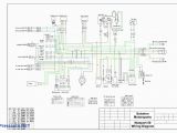 Taotao 50cc Scooter Wiring Diagram Peace Sports atv Wiring Diagram Luxury 2012 Taotao 50cc Scooter