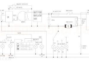 Taotao 50cc Scooter Wiring Diagram Peace Sports Scooter Wiring Schematic Schema Diagram Database