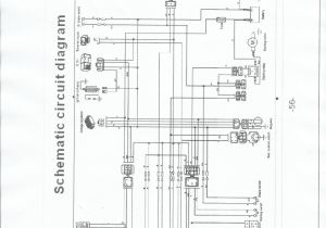 Taotao 50cc Scooter Wiring Diagram Tao Tao 50cc atv Wiring Diagrams Schema Diagram Database