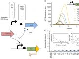Tariff 33 Wiring Diagram Dynamic Regulation Of Metabolic Flux In Engineered Bacteria Using A