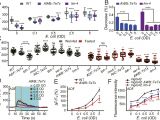 Tariff 33 Wiring Diagram Reciprocal Modulation Of 5 Ht and Octopamine Regulates Pumping Via