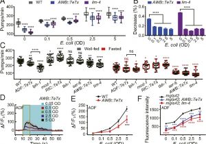 Tariff 33 Wiring Diagram Reciprocal Modulation Of 5 Ht and Octopamine Regulates Pumping Via