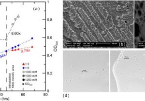 Tariff 33 Wiring Diagram Tariff 33 Wiring Diagram New Low Voltage Differential Signaling