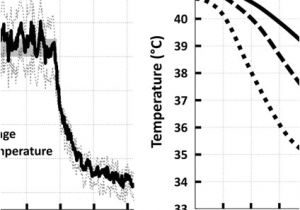 Tecniq T10 Wiring Diagram A Representative Examples Of Mean solid T10 and T90 Dashed Tecniq T10 Wiring Diagram A Representative Examples Of Mean solid T10 and T90 Dashed