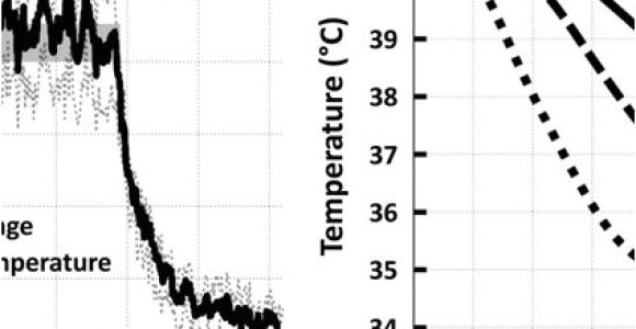 Tecniq T10 Wiring Diagram A Representative Examples Of Mean solid T10 and T90 Dashed