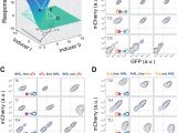 Tecniq T10 Wiring Diagram Engineering Of A Synthetic Quadrastable Gene Network to Approach Tecniq T10 Wiring Diagram Engineering Of A Synthetic Quadrastable Gene Network to Approach