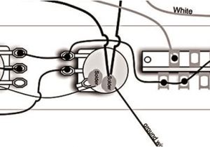 Tele 3 Way Switch Wiring Diagram Tele Wiring Diagram Telecaster 3 Way Switch Search Wiring Diagram Tele 3 Way Switch Wiring Diagram Tele Wiring Diagram Telecaster 3 Way Switch Search Wiring Diagram