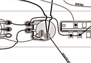 Telecaster 4 Way Wiring Diagram Tele Wiring Diagram Telecaster 3 Way Switch Search Wiring Diagram