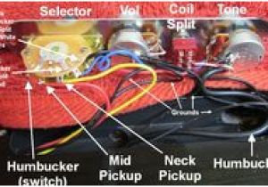 Telecaster Plus Wiring Diagram 19 Best My Project Fender Telecaster Modern Player Plus Images In