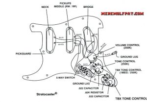 Telecaster Plus Wiring Diagram Squier Bullet Wiring Diagram Wiring Diagram Article Review