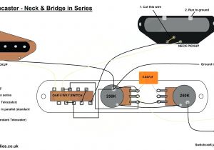 Telecaster Plus Wiring Diagram Tbx Wiring Tele Wiring Diagram Technic
